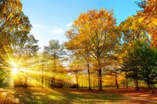 Foto: Herbstlandschaft