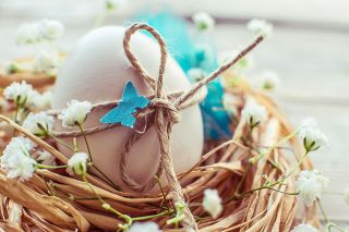 Foto: Osternest