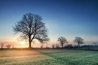 Foto: Herbstlandschaft